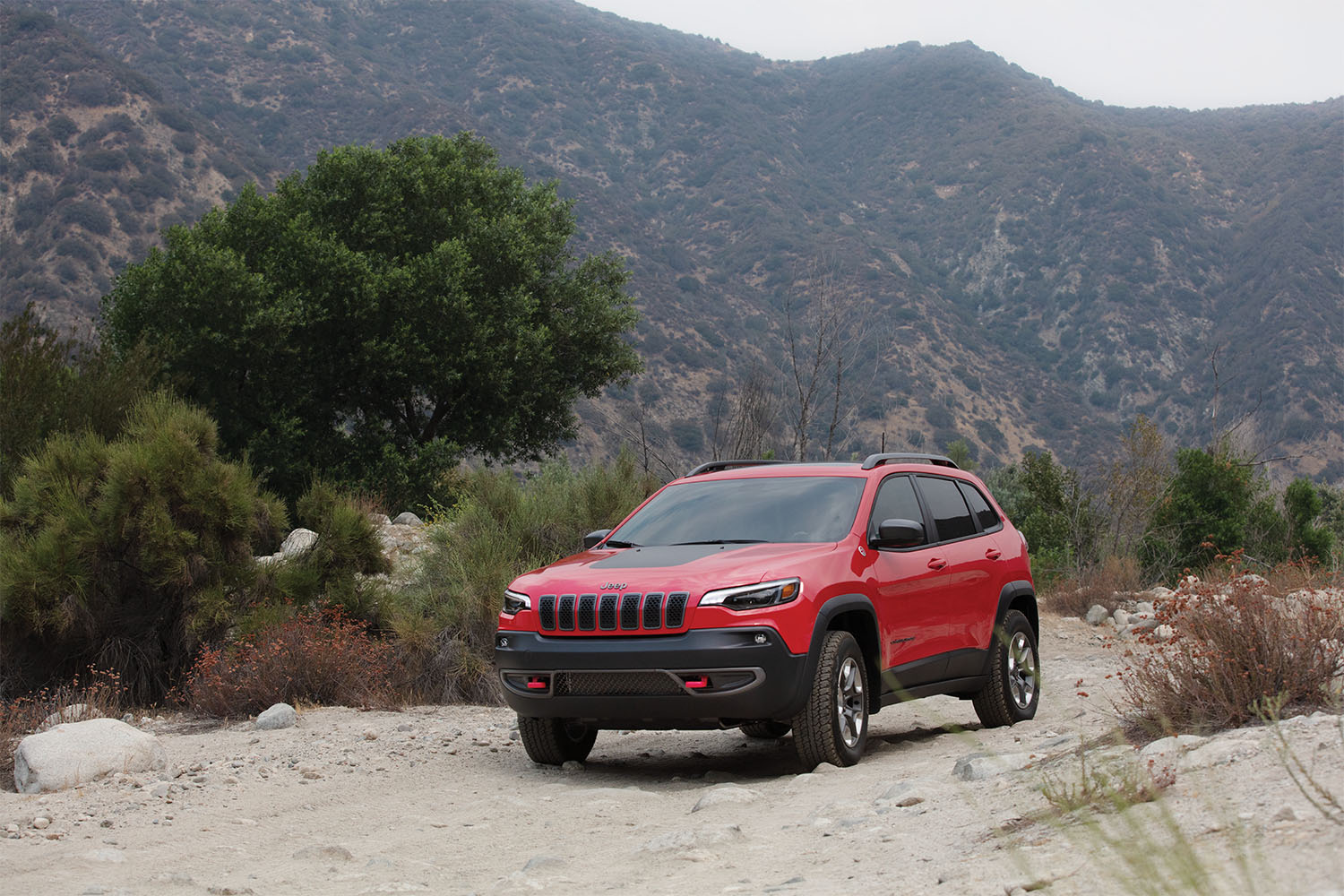 Jeeps available in Bloomfield Hills, MI at Golling CJDR (Bloomfield Hills, MI)