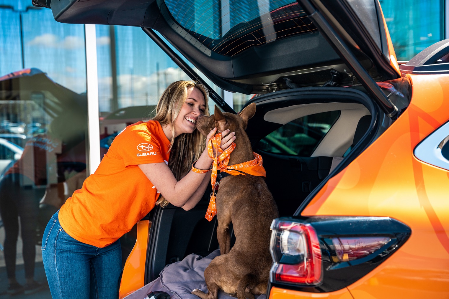Dog Friendly Vehicle near New York available in New York, NY at Grand Prix Subaru