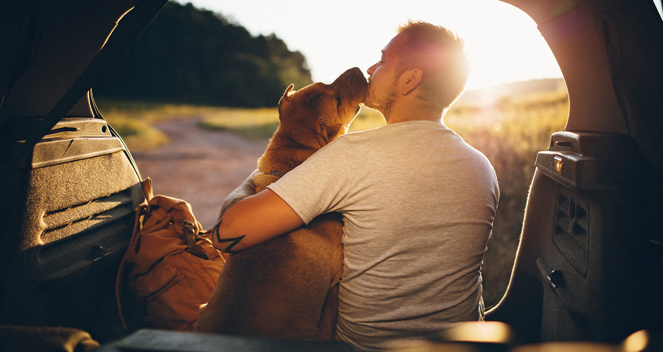 Dog Friendly Vehicles in Hawaii available in Hawaii at Aloha Kia Auto Group