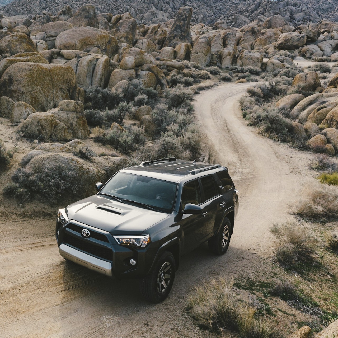 Toyotas available in Lockport, NY at Basil Toyota