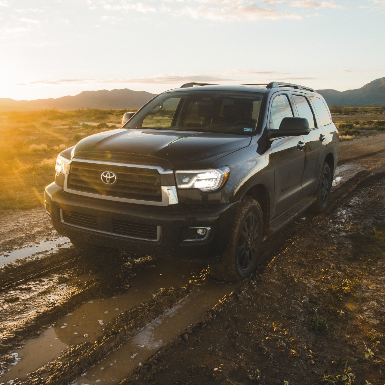 Toyotas available in Lockport, NY at Basil Toyota