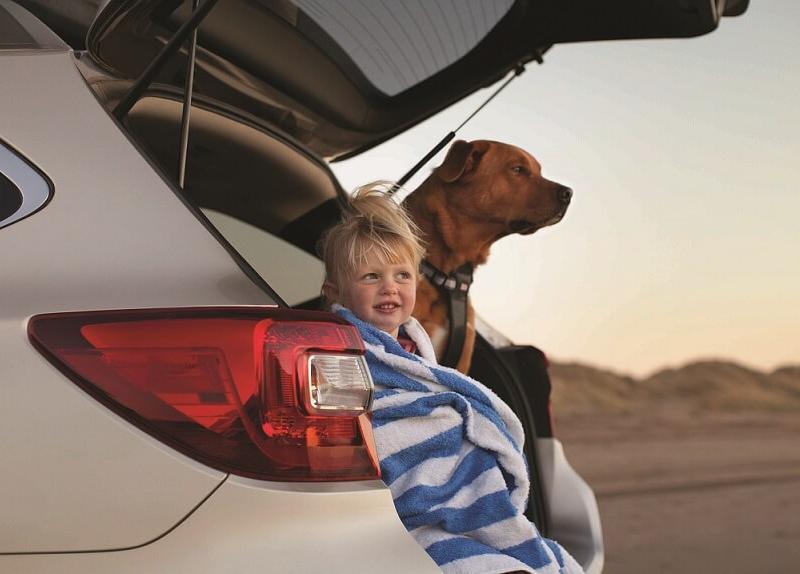 subaru outback dog accessories