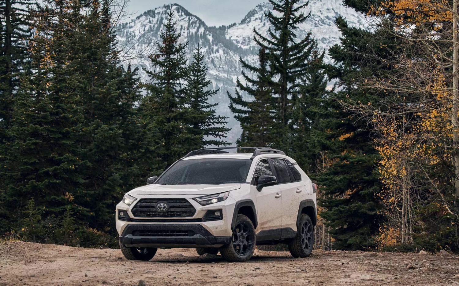 Toyotas available near Medford, OR at 