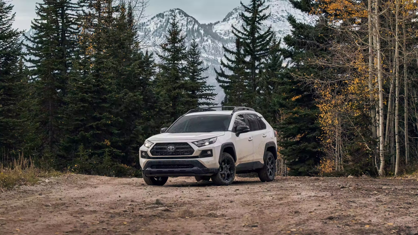 Used Toyota RAV4 Hybrid in Boise, ID Peterson Toyota