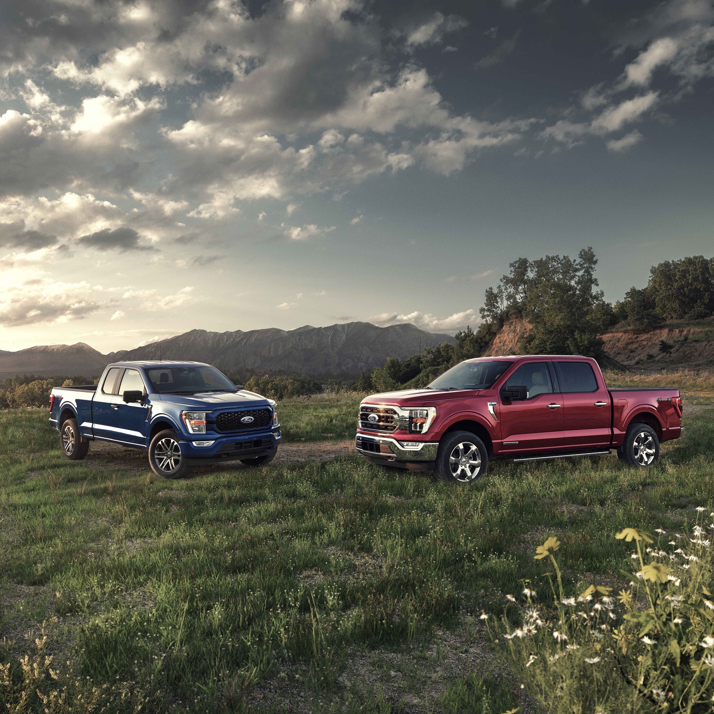 Trucks available in Portland, OR at Roberson's Albany Ford (Portland, OR)