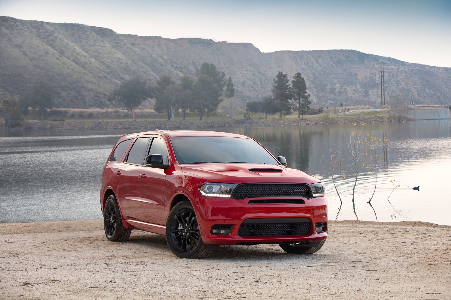 New Dodge available in Morgantown, WV at Chrysler Dodge Jeep Ram FIAT
of Morgantown
